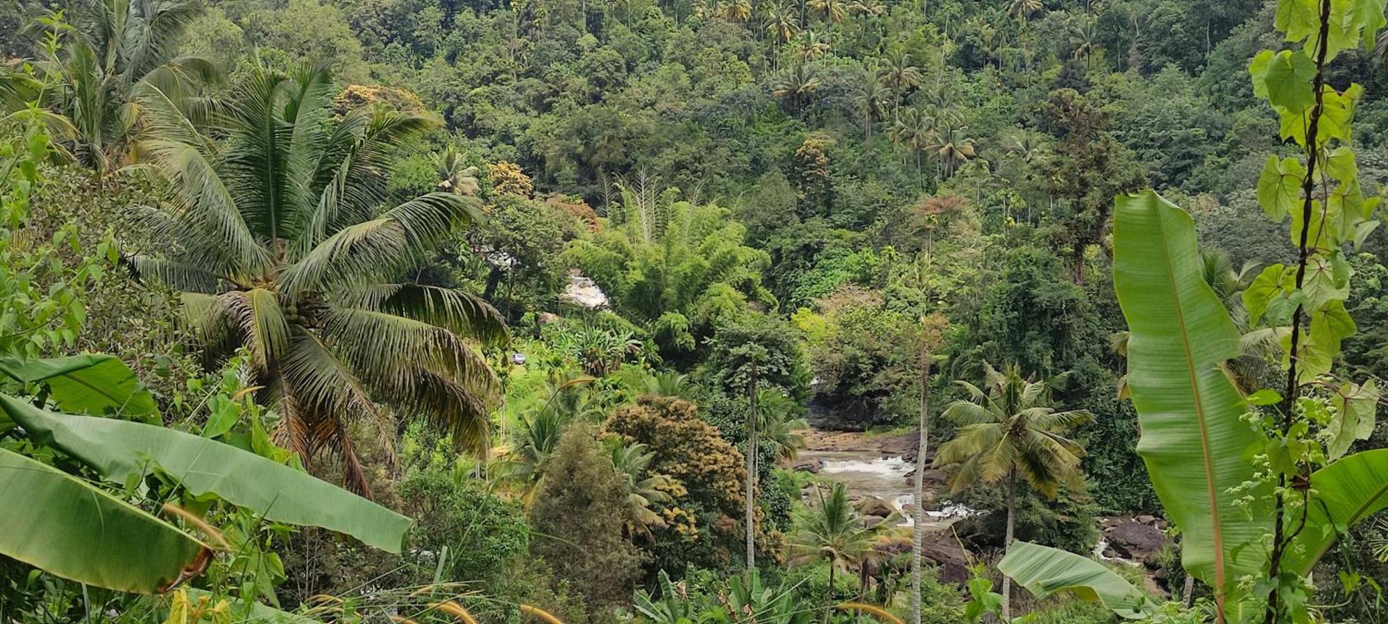 Munnar Village Homes Εξωτερικό φωτογραφία