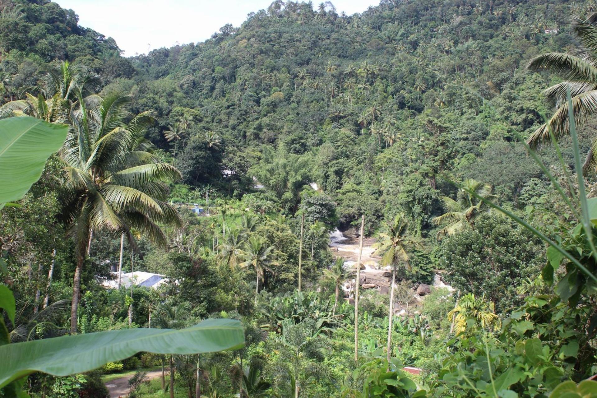Munnar Village Homes Εξωτερικό φωτογραφία