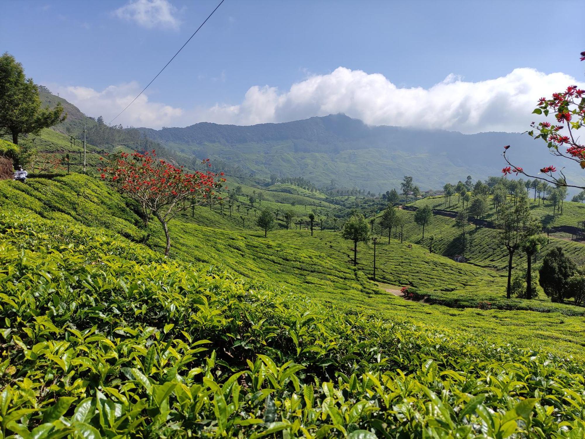 Munnar Village Homes Εξωτερικό φωτογραφία